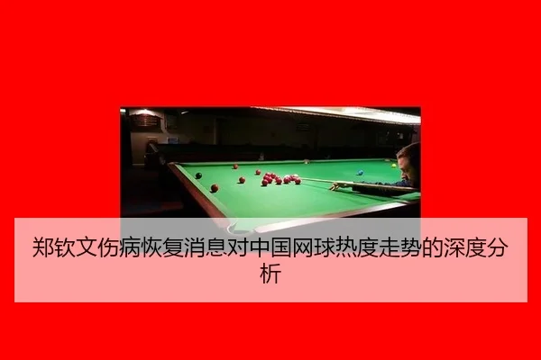 郑钦文伤病恢复消息对中国网球热度走势的深度分析